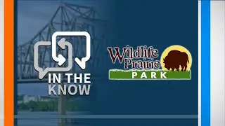 Wildlife Fun Alert: Outdoor Extravaganza & New Fish Tagging!