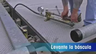 Simplified Service with POWERCELL PDX load cells espa&ntilde;ol