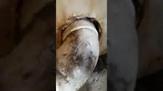 Don't build dryer vents with PVC