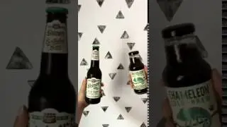 Shiner Cold-Brew Coffee Ale