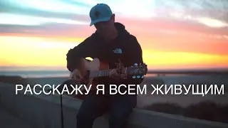 Fingerstyle Guitar by the Ocean | Emotional Sunset Instrumental