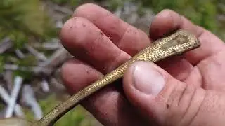 Silver spoon found with metal detector