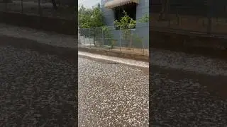 Weather in Panchkula #travel #shorts #trending #youtubeshorts #barish #panchkula #news #baraf #viral