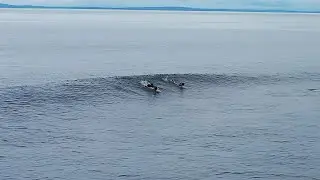 Splitting the Peak w/ Your BROTHER | The Groms Enjoy an Empty Lineup at 4Bobs
