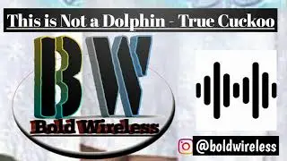 #vlog #nocopyrightmusic #vlognocopyrightmusic BW. This is Not a Dolphin - True Cuckoo