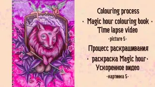 ПРОЦЕСС РАСКРАШИВАНИЯ. Magic hour - 5. Ускоренное видео / SPEED COLOURING. Magic hour - 5.
