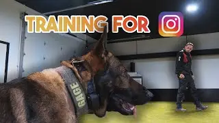 Dog Training for the GRAM 😎