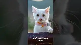 לקחתי את החתול לטיול בחוץ | אתנחתא בטבעון