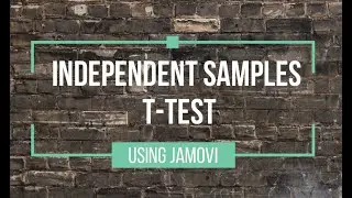 Independent samples t-test in JAMOVI