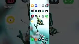 TikTok Downloader created by Nafees Khan, most powerful extension for downloading media from TikTok
