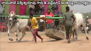 Madamanchipadu nalugupallu||రాయపాటి విశ్వేశ్వరరావు గారు & వడ్డెమాను అంజిరెడ్డి గారు వారి గిత్తలు