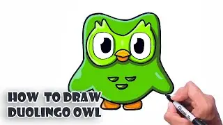 How to Draw The Duolingo AWL | easy step by step Tutorial