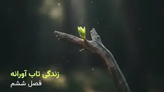 کتاب زندگی تاب آورانه -  فصل ششم: حرف زدن به زبان شرم