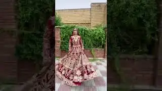 Wedding❤️ reels viral #BINAL STUDIO VIRAL #shorts #youtubeshorts #treding #viral videos #fashion
