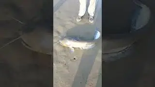jhelum river in Pakistan fishing