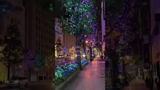 Let&rsquo;s explore Japan at night. #untilifoundyou #japan #exploringjapan