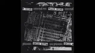 Mellow Harsher / Internal Rot  - Split 7