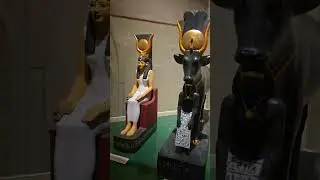 South Australia Museum Part 2 vlog
