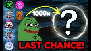 Лучший список монет мема Bull Run 2025 года. 100x - 1000x крипто-драгоценностей!