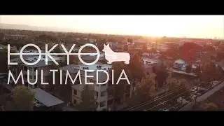 Lokyo Multimedia- Real Estate Reel
