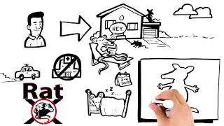How it works: RatX