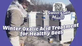 Winter Oxalic Acid Treatment