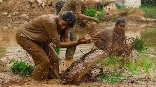 Nepal k&uuml;hlt sich ab: Schlammschlacht im Reisfeld