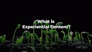 What is Experiential Content?