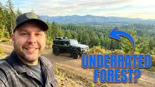 Нет необходимости в разрозненном кемпинге? Маршрут Capitol Forest Overland Loop