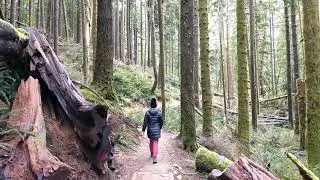 Pratt River Trail | Elizabeth Outdoors