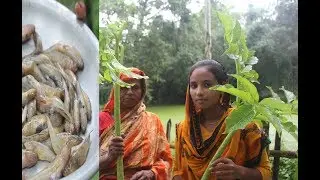 Village food small Sand goby fish curry | Bele macher curry