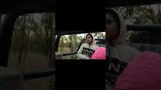 Trip to India - Road Drive  - Tiger ! Leopard Safari