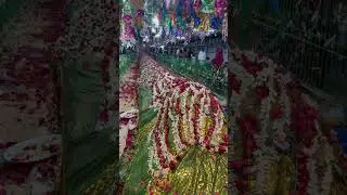Venadu Dargah #nellore #trending #viralvideo #viral