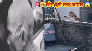 7 लोग ज़ख़्मी😭 Leopard Attack Human Leopard Rescue Village | Tiger attack man wildlife village