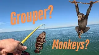 Central Florida Fishing: Grouper and Monkeys?!?!