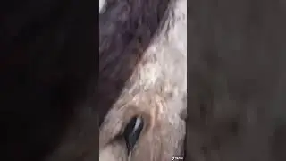 Вода заливає траншеї