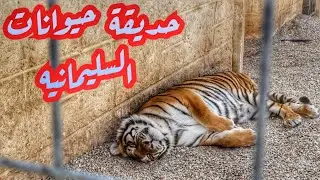 حديقة حيوانات جافي لاند
