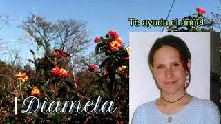 Grupo Argentino de Transcomunicaci&oacute;n Instrumental