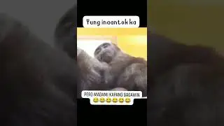 #inaantok