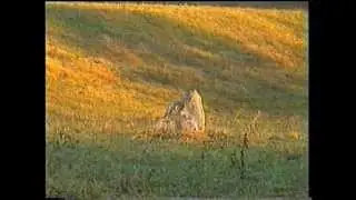 luoghi leggendari dei celti insubri