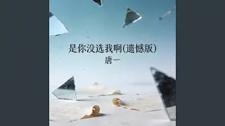 是你没选我啊(遗憾版)