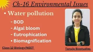 Ch-16 Environmental Issue|Water pollution|Algal bloom|Eutrophication|Biomagnification|Class 11/NEET