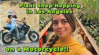 Plant Shop Hopping Tour in Los Angeles on a Motorcycle part 3 | Cactus Store, Folia Collective
