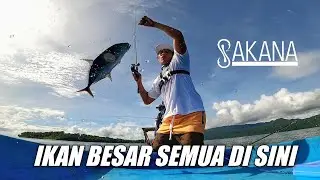 Semua pemancing pasti Ngiler liat spot di sini. Spot Ultralight tapi isinya ikan besar. 1/2 | #66