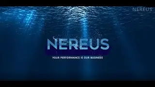 Nereus Subsea Pte. Ltd - For Underwater Ship Maintenance and Repairs