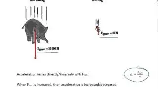 07a Free Fall and Air Resistance