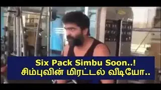 Six Pack Simbu Soon | Latest Silambarasan's Workout Video | Wonder Mix