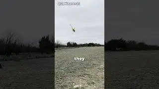 This is why they shoot nets at animals!