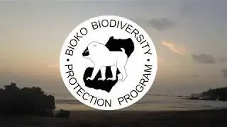 Drexel Study Abroad on Bioko Island