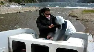 World Water Monitoring Day, Chile, monitoreo lago Paloma XI regi&oacute;n, parte 2
